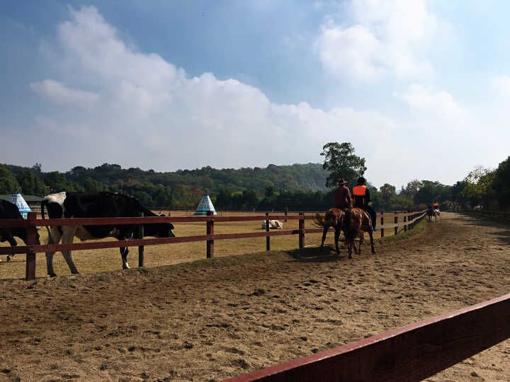 yh818银河官网(中国)股份有限公司