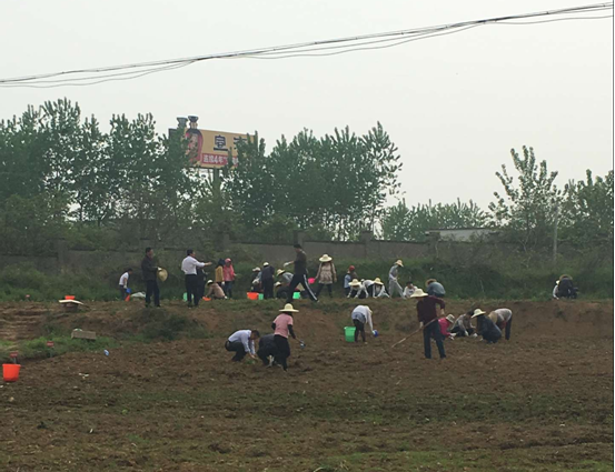 pg电子模拟器(中国游)官方网站