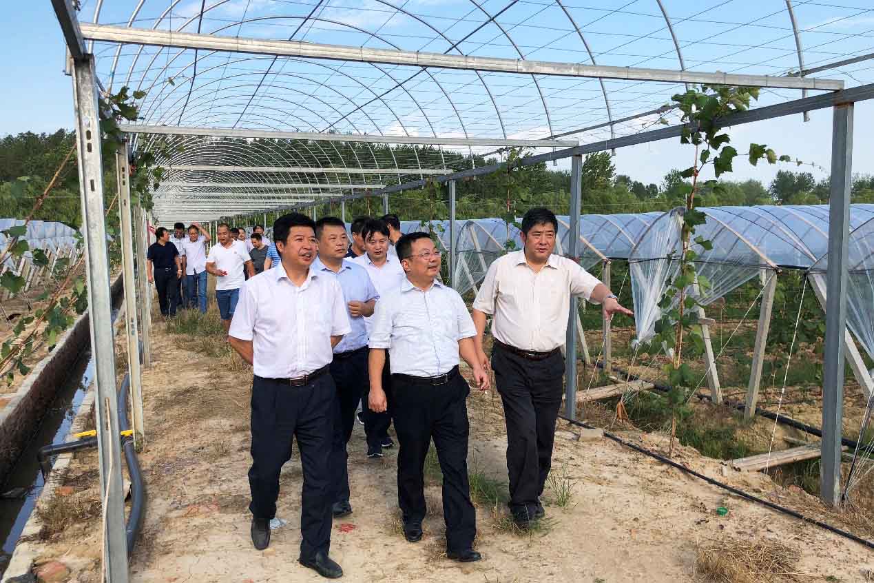 pg电子模拟器(中国游)官方网站